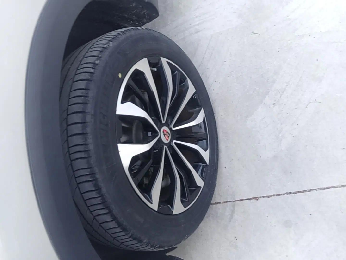 Roewe RX5 eMAX 2020 500 PHEV 4G-Connected Luxury Edition — миниатюра 8