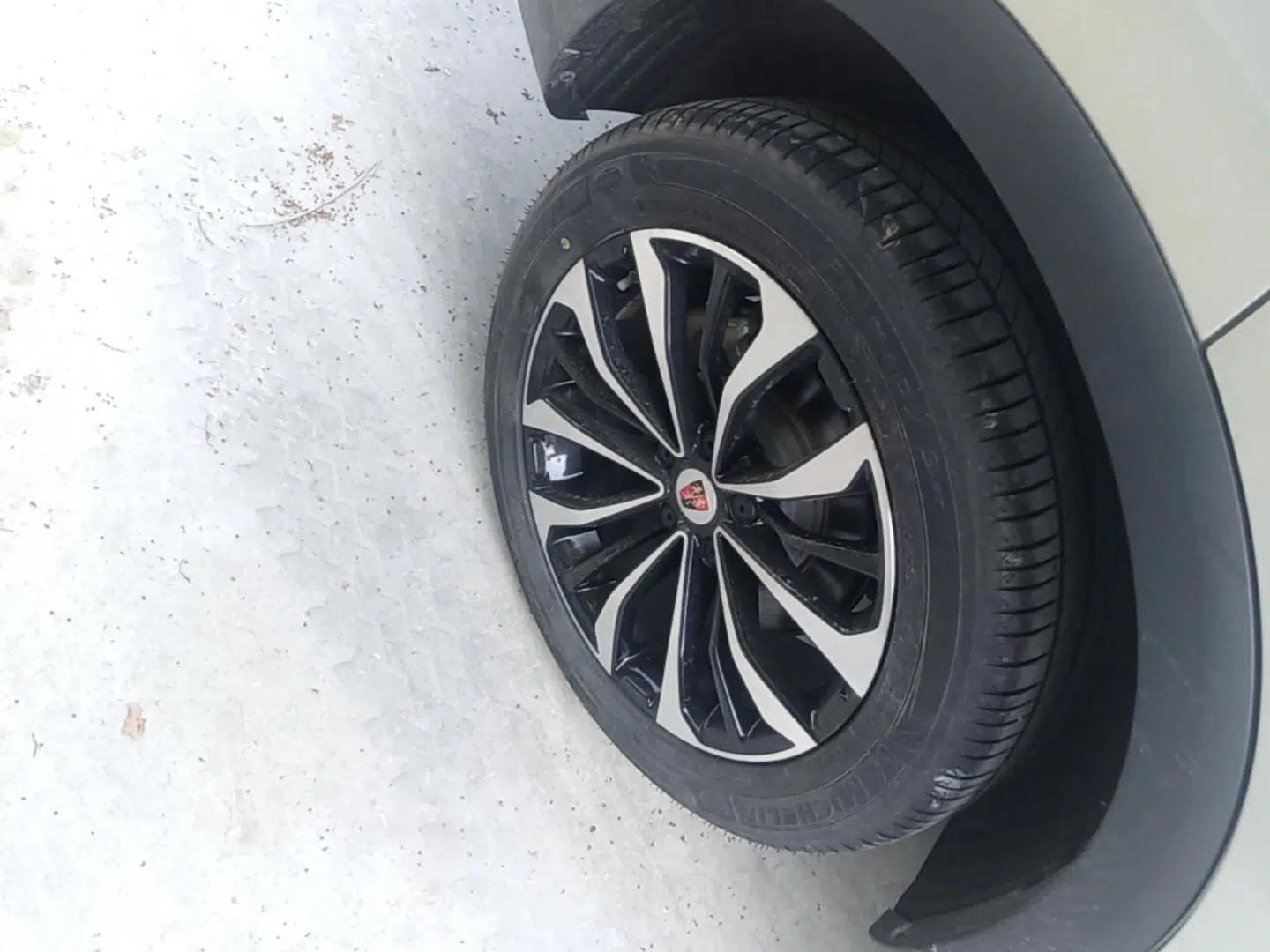 Roewe RX5 eMAX 2020 500 PHEV 4G-Connected Luxury Edition — миниатюра 10
