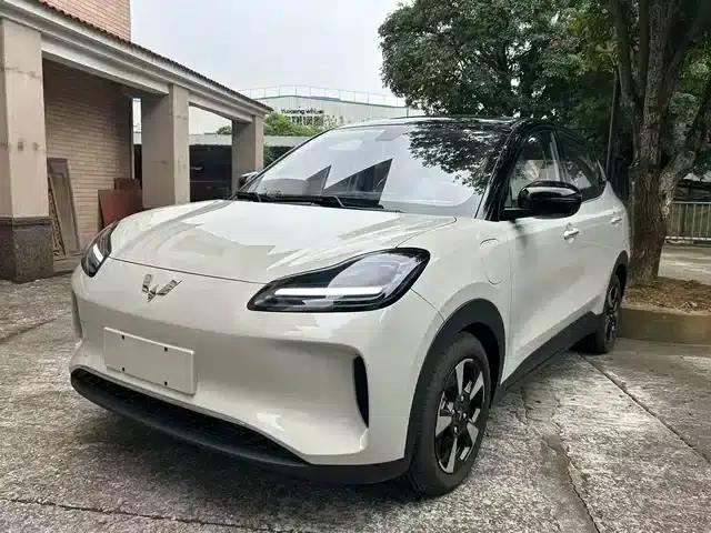 Wuling Bingo PLUS 2024 Model 401km Flagship Edition Four-Seater