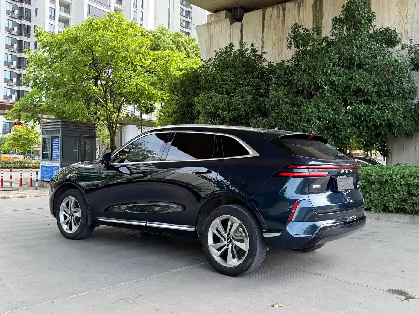 Weipai Mocha New Energy 2023 Two-Wheel Drive Long Range Version — миниатюра 9