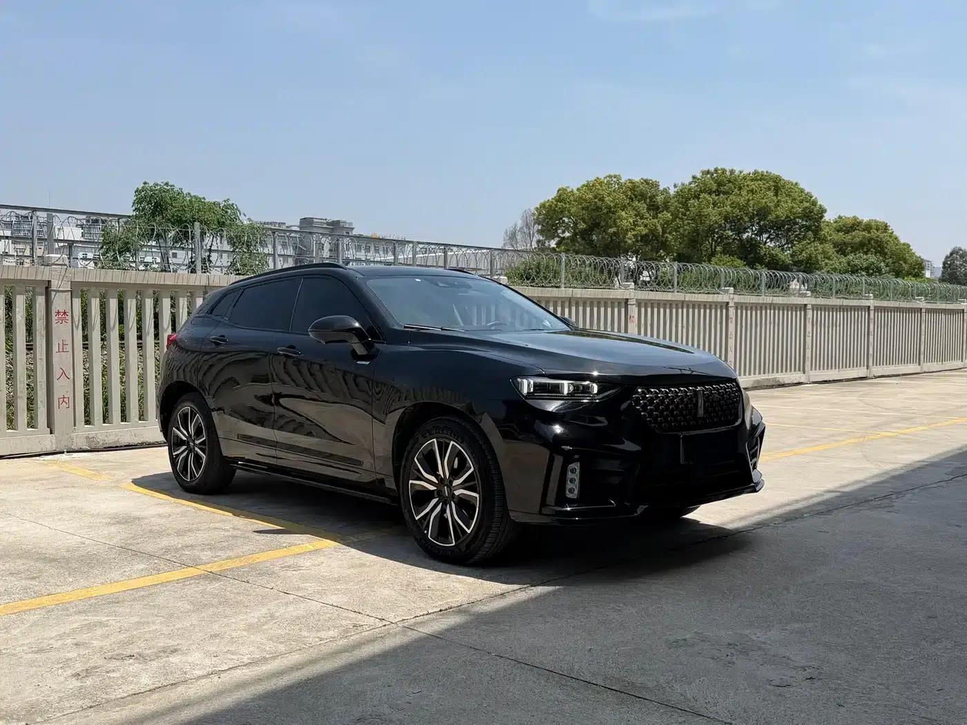Weipai VV7 New Energy 2020 PHEV 2.0T Flagship Edition — миниатюра 3