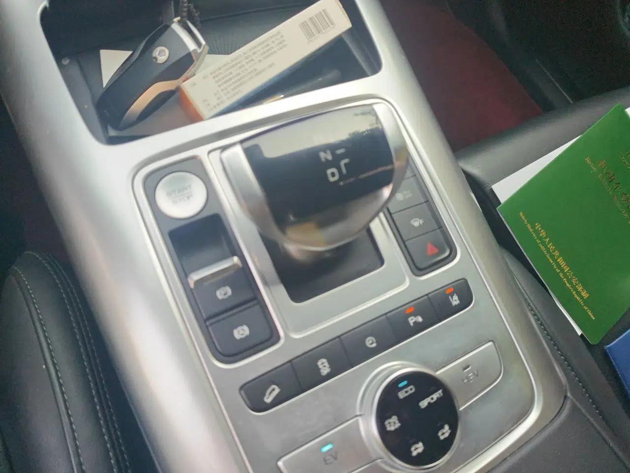 Denza X 2020 PHEV Flagship Edition — миниатюра 15