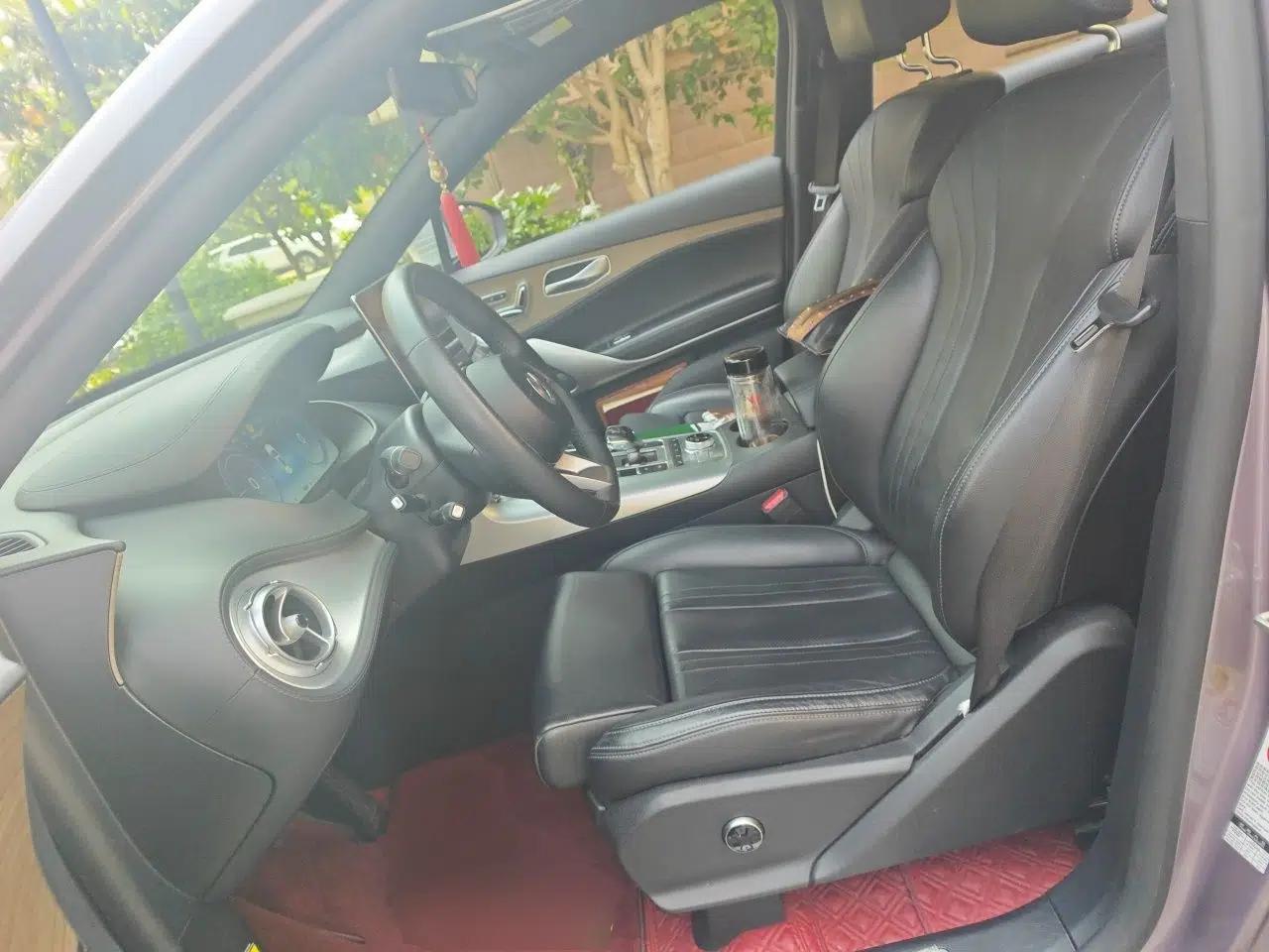 Denza X 2020 PHEV Flagship Edition — миниатюра 16