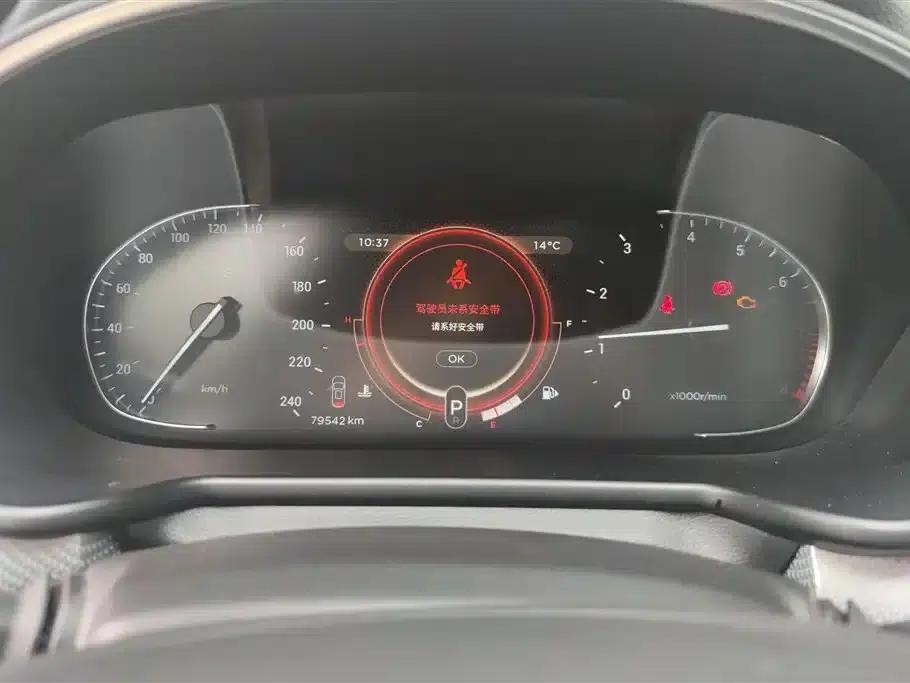 Exeed TX 2019 1.6T AWD Platinum Edition — миниатюра 14