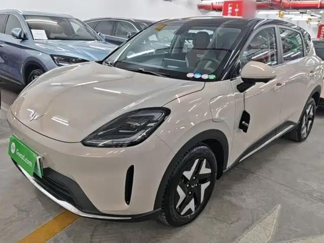 Wuling Bingo S 2025 Model 430km Flagship Edition