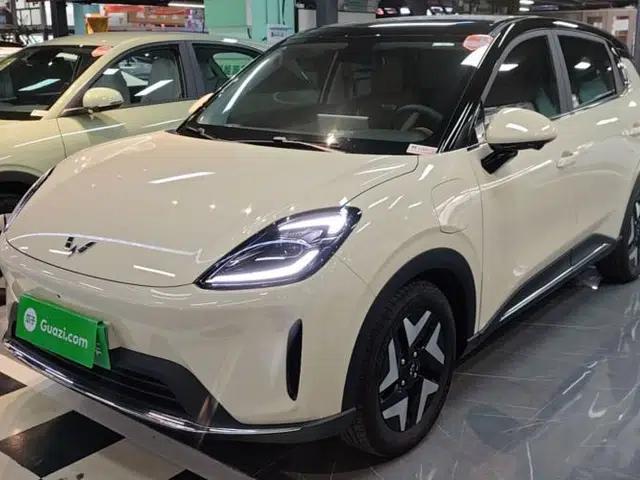Wuling Bingo S 2025 Model 325km Flagship Edition
