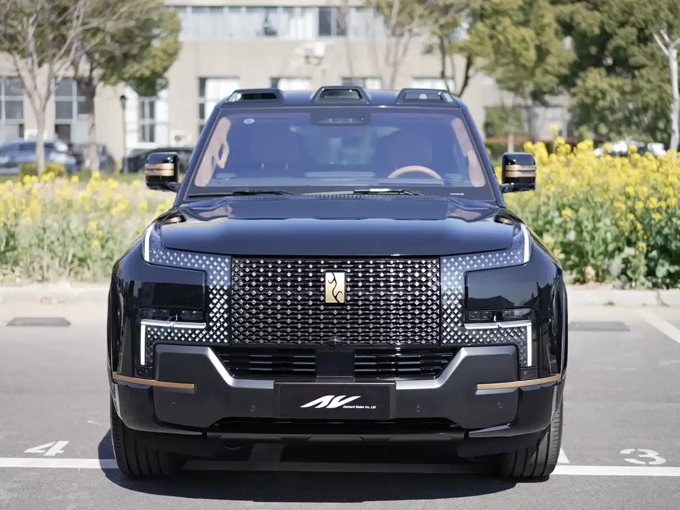 Looking up at the U8 L 2025 Dingshi Edition — миниатюра 2
