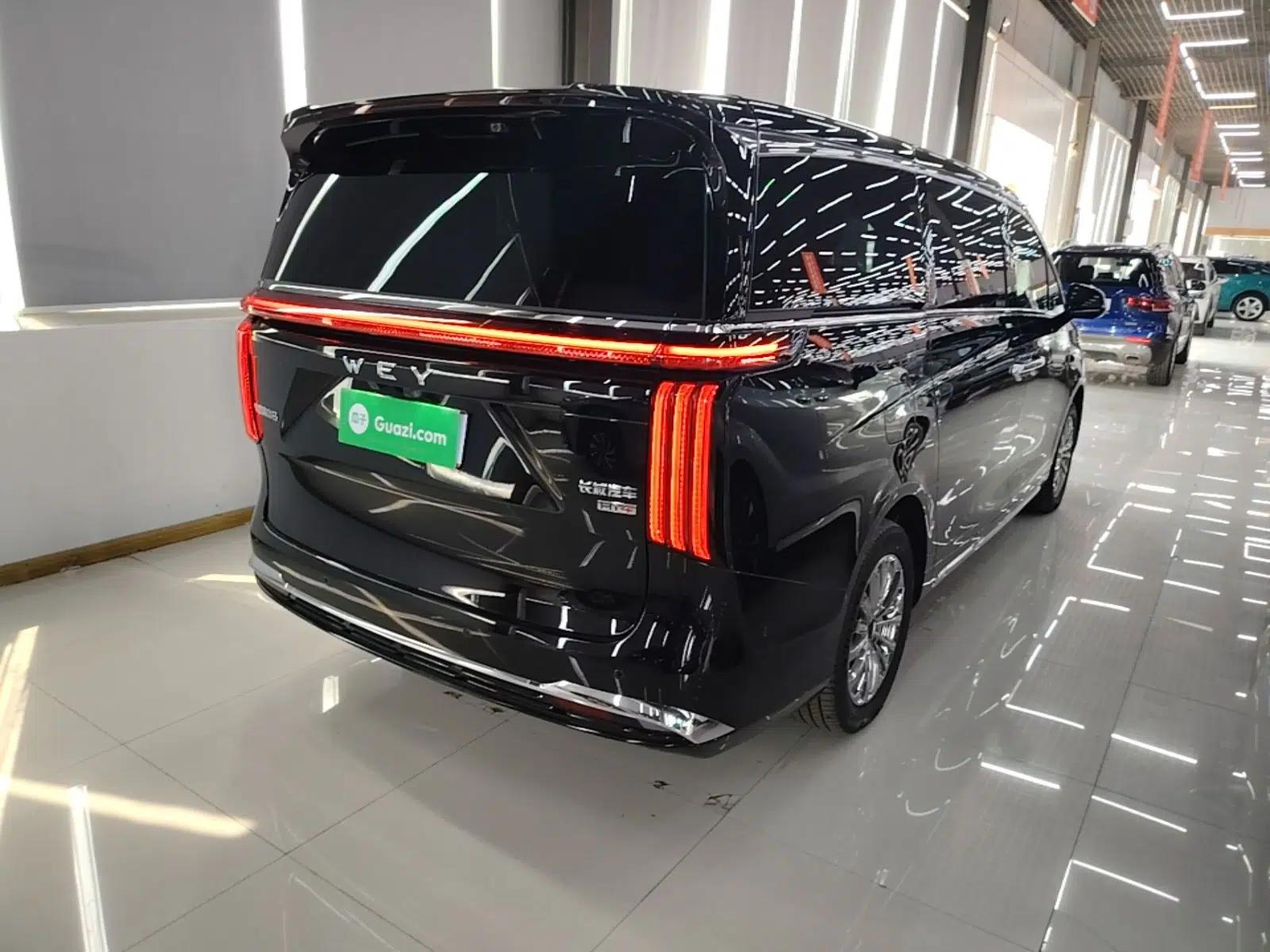 Wey Gaoshan 2025 Four-Wheel Drive Alpine 8 — миниатюра 4