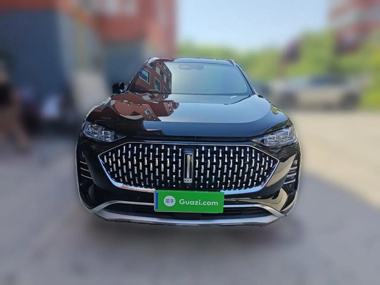 Wey Mocha 2021 2.0T Two-Wheel-Drive Ultra-Strong Version — миниатюра 2