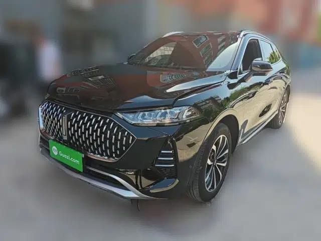 Wey Mocha 2021 2.0T Two-Wheel-Drive Ultra-Strong Version