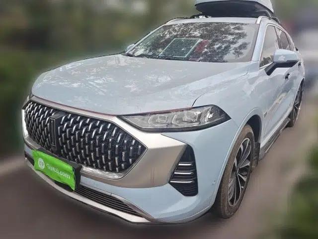 Wey Mocha 2021 2.0T Two-Wheel-Drive Premium Edition