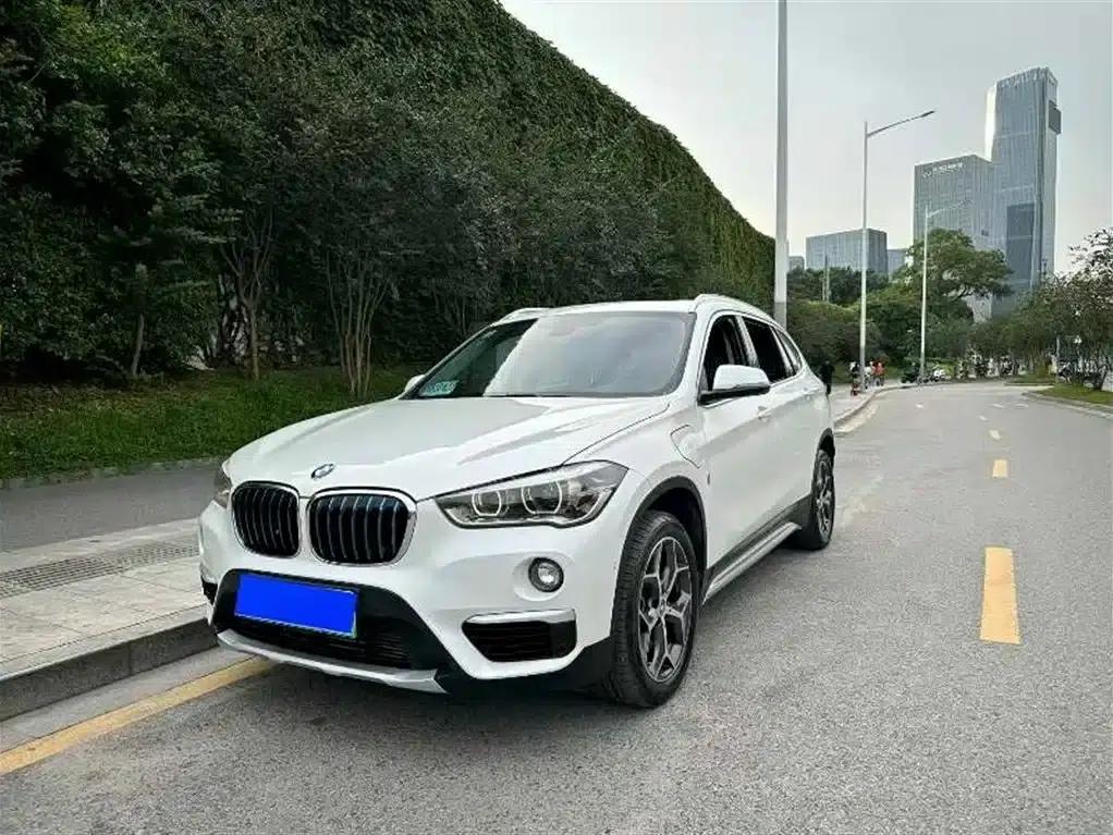 BMW X1 PHEV 2019 xDrive25Le Luxury — миниатюра 1