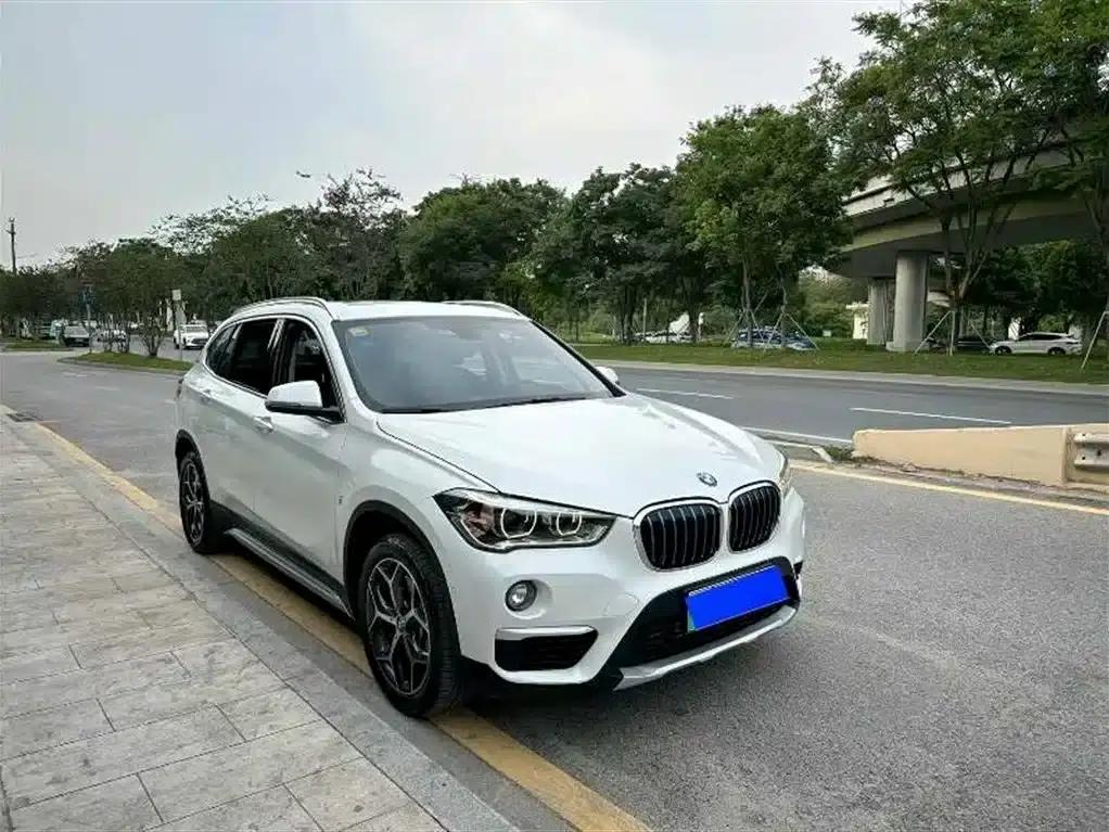 BMW X1 PHEV 2019 xDrive25Le Luxury — миниатюра 3
