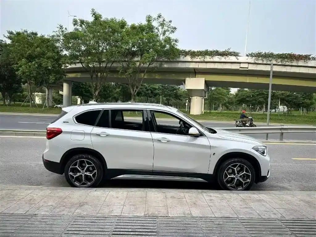 BMW X1 PHEV 2019 xDrive25Le Luxury — миниатюра 9