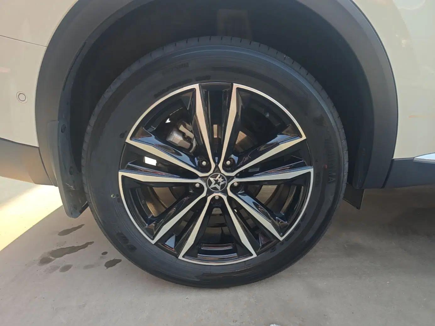 Venucia Star 2020 260T Automatic 48V Mild Hybrid Turbocharged Starry Edition — миниатюра 10