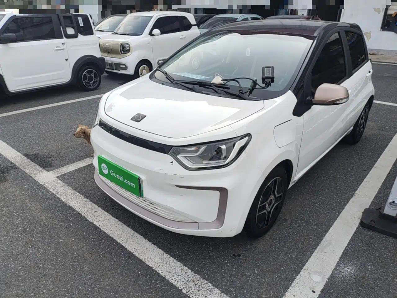 SOL E10X 2021 302 km Range Fashion Edition 30.2 kWh — миниатюра 1