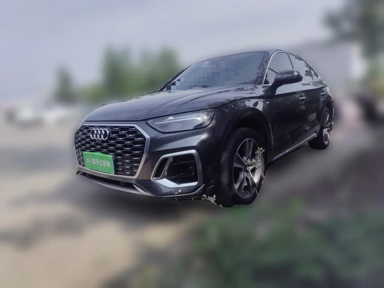 Audi Q5L Sportback 2022 40 TFSI Luxury Model — миниатюра 1
