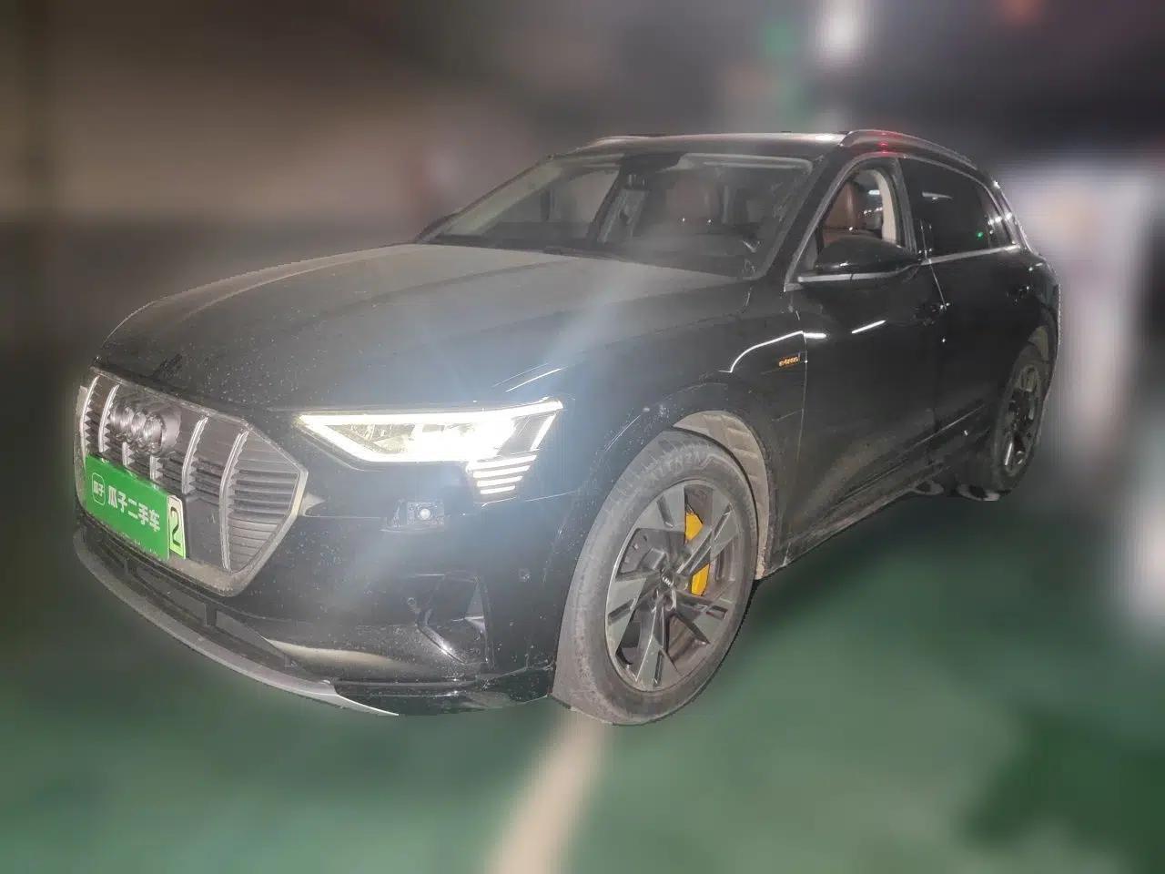 Audi e-tron 2019 55 quattro Technology Edition — миниатюра 1