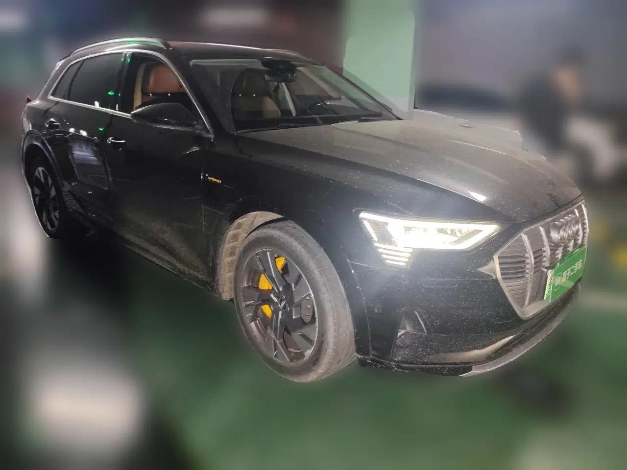 Audi e-tron 2019 55 quattro Technology Edition — миниатюра 3