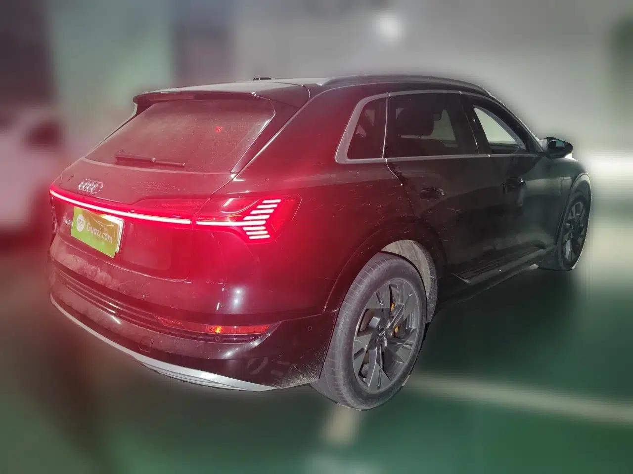 Audi e-tron 2019 55 quattro Technology Edition — миниатюра 6