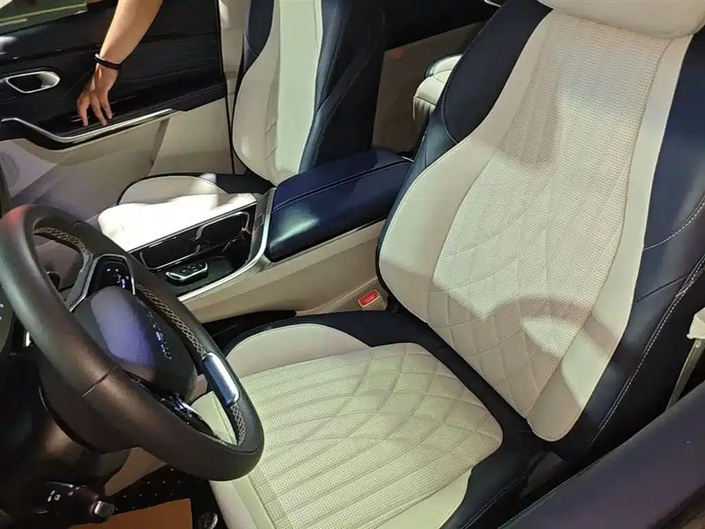 Everyone 9 2022 Long Range Grassland 7-Seater Edition — миниатюра 11