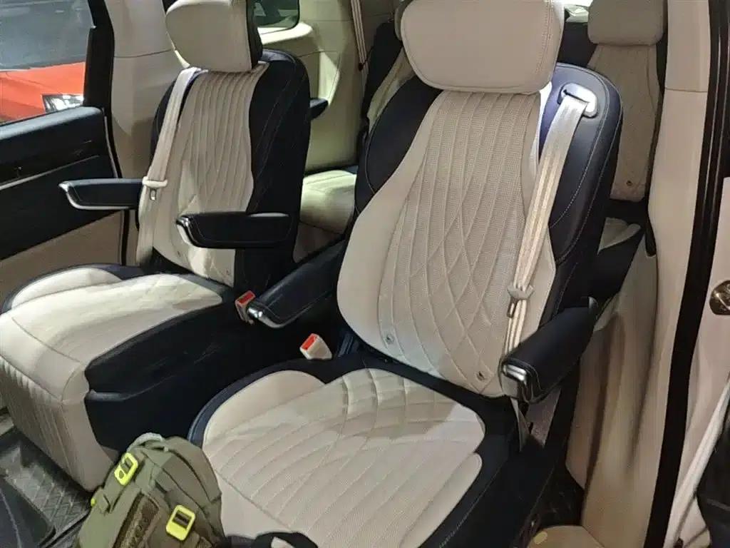 Everyone 9 2022 Long Range Grassland 7-Seater Edition — миниатюра 13