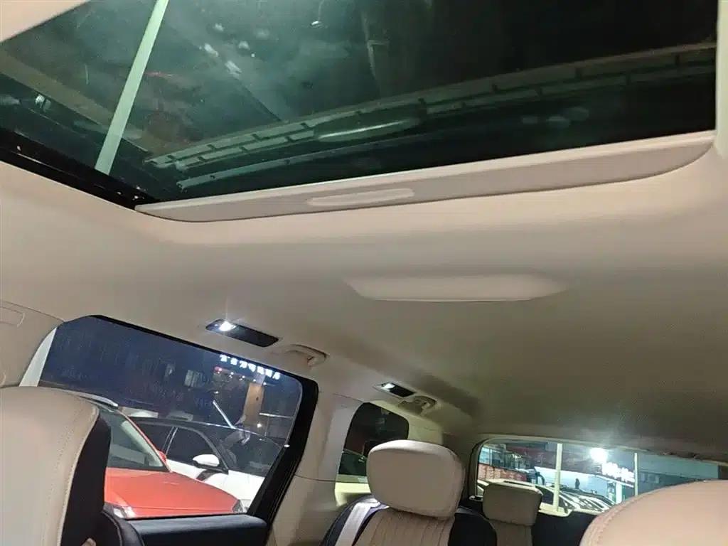 Everyone 9 2022 Long Range Grassland 7-Seater Edition — миниатюра 14