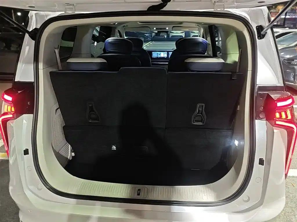 Everyone 9 2022 Long Range Grassland 7-Seater Edition — миниатюра 15