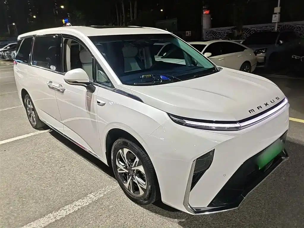 Everyone 9 2022 Long Range Grassland 7-Seater Edition — миниатюра 22