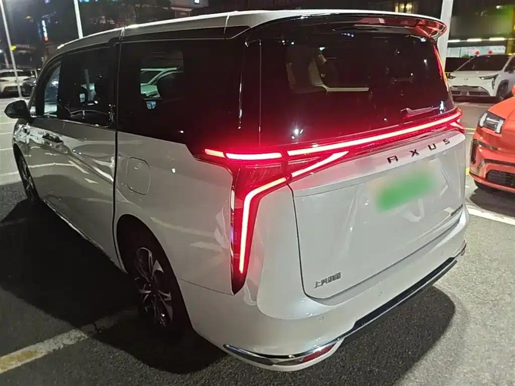 Everyone 9 2022 Long Range Grassland 7-Seater Edition — миниатюра 23