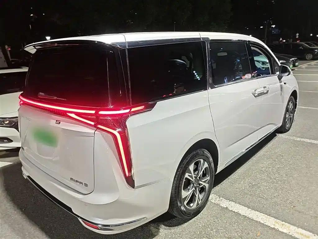 Everyone 9 2022 Long Range Grassland 7-Seater Edition — миниатюра 5
