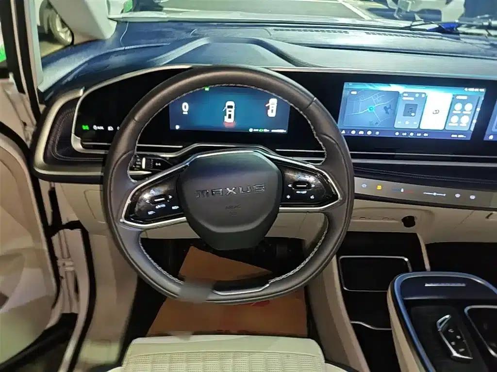 Everyone 9 2022 Long Range Grassland 7-Seater Edition — миниатюра 7