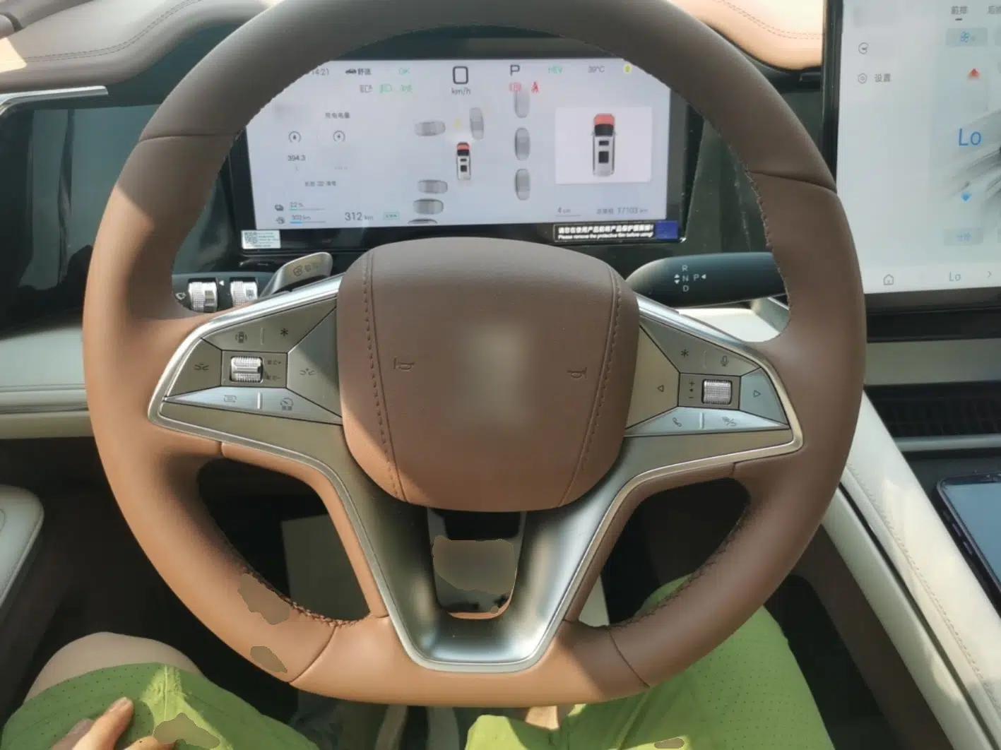 BYD Xia 2025 DM-i 1.5T 100km Supreme Edition — миниатюра 14