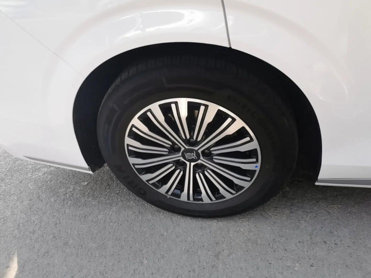 BYD Xia 2025 DM-i 1.5T 100km Supreme Edition — миниатюра 10
