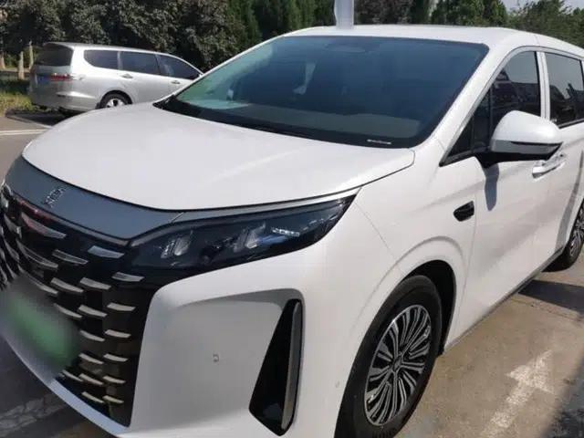 BYD Xia 2025 DM-i 1.5T 100km Supreme Edition