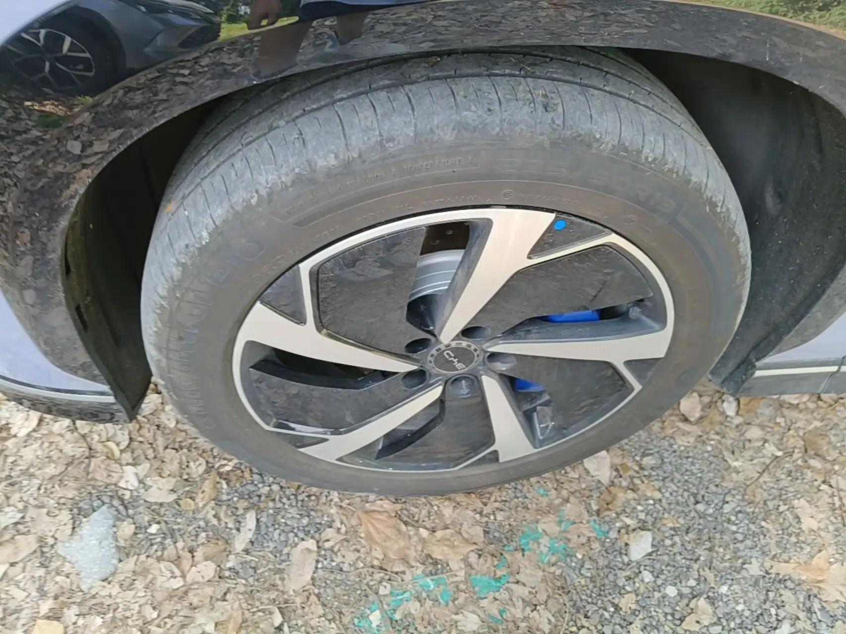 BYD Sealion 07 EV 2024 610 Long-Range Version — миниатюра 8