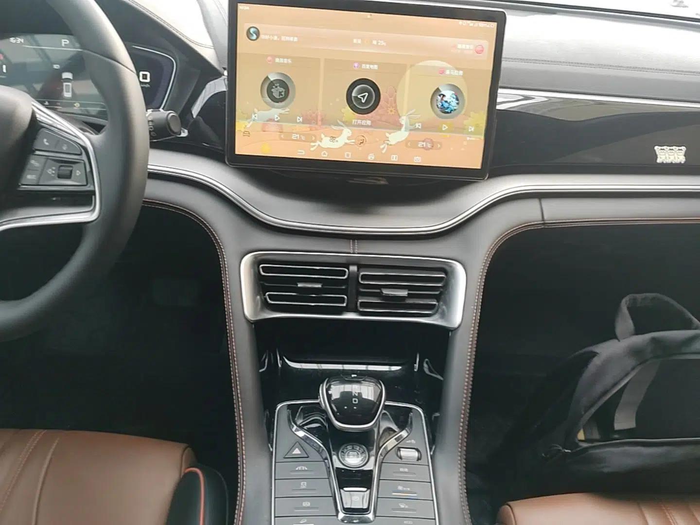 BYD Song PLUS 2020 1.5T Automatic Prestige Version — миниатюра 16