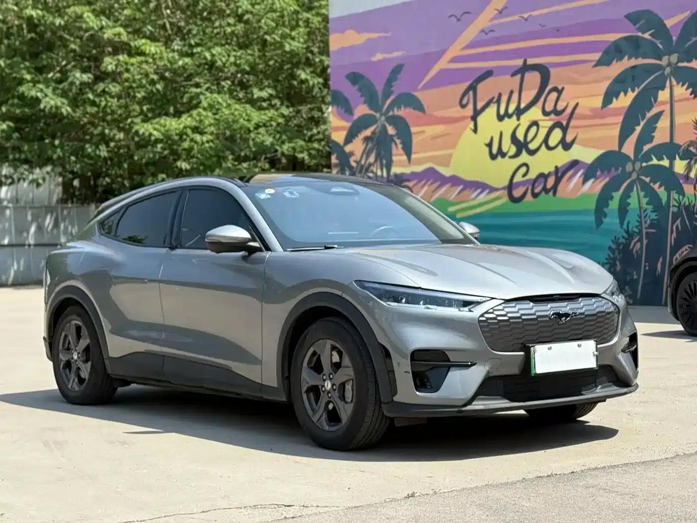 Ford Electric 2021 Model X Rear-Wheel Drive Standard Range — миниатюра 3