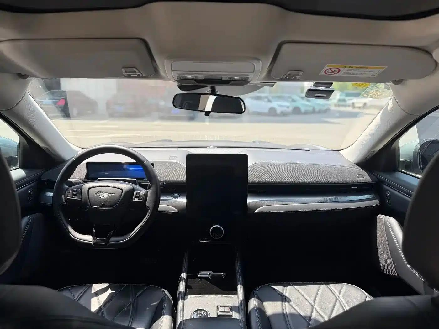 Ford Electric 2021 Model X Rear-Wheel Drive Standard Range — миниатюра 5