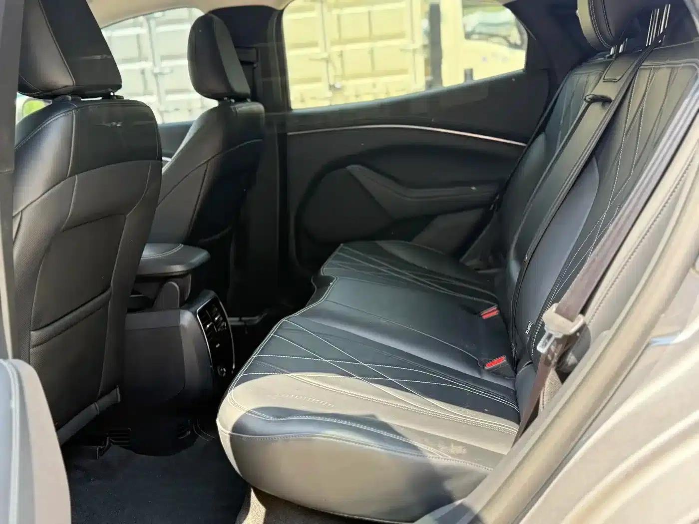 Ford Electric 2021 Model X Rear-Wheel Drive Standard Range — миниатюра 6