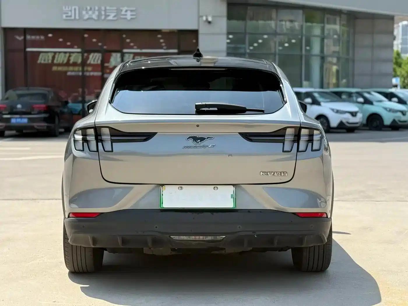 Ford Electric 2021 Model X Rear-Wheel Drive Standard Range — миниатюра 9