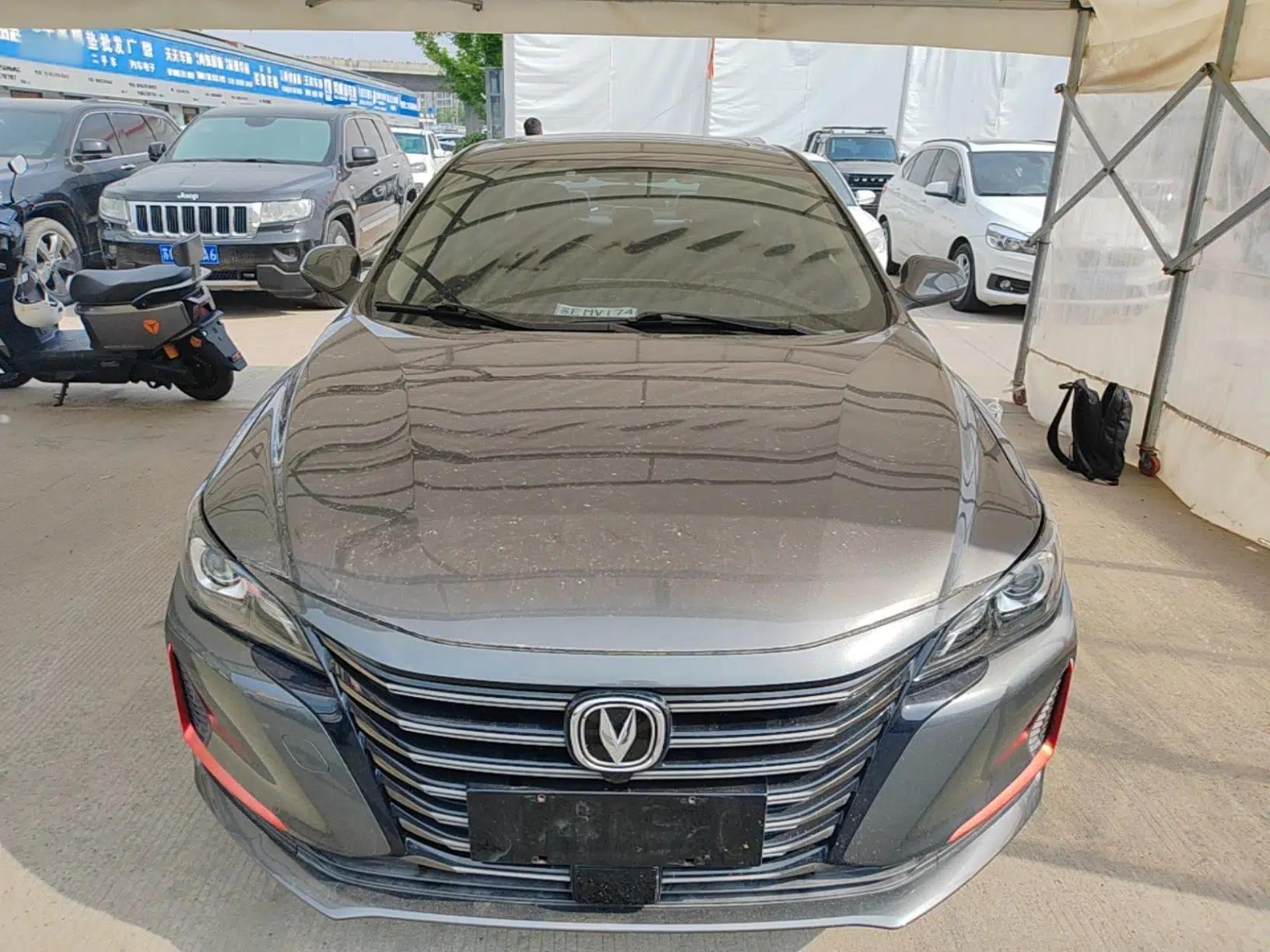 CHANGAN Ruicheng CC 2021 Blue Whale Edition 1.5T DCT Elite Model — миниатюра 2
