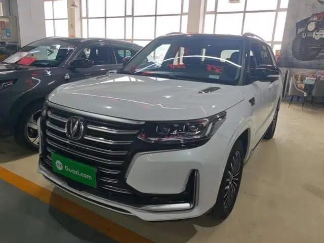 CHANGAN CS95 2019 2.0T Four-Wheel Drive Luxury Version