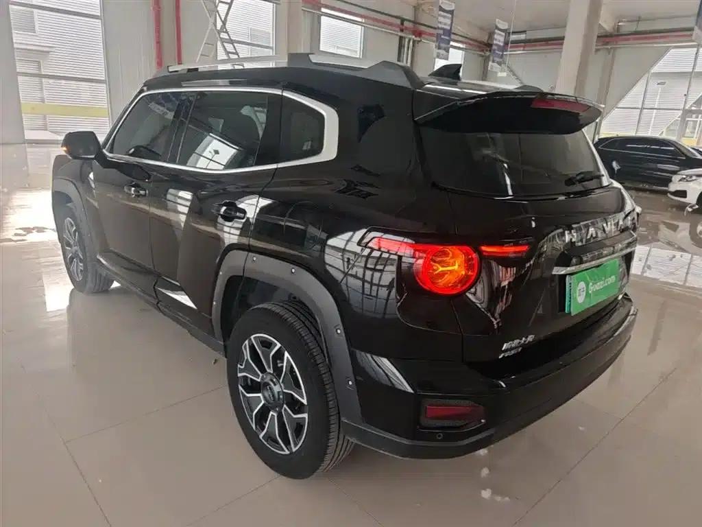 Haval Big Dog PLUS New Energy 2023 DHT-PHEV 105km Trendy Electric Edition — миниатюра 5