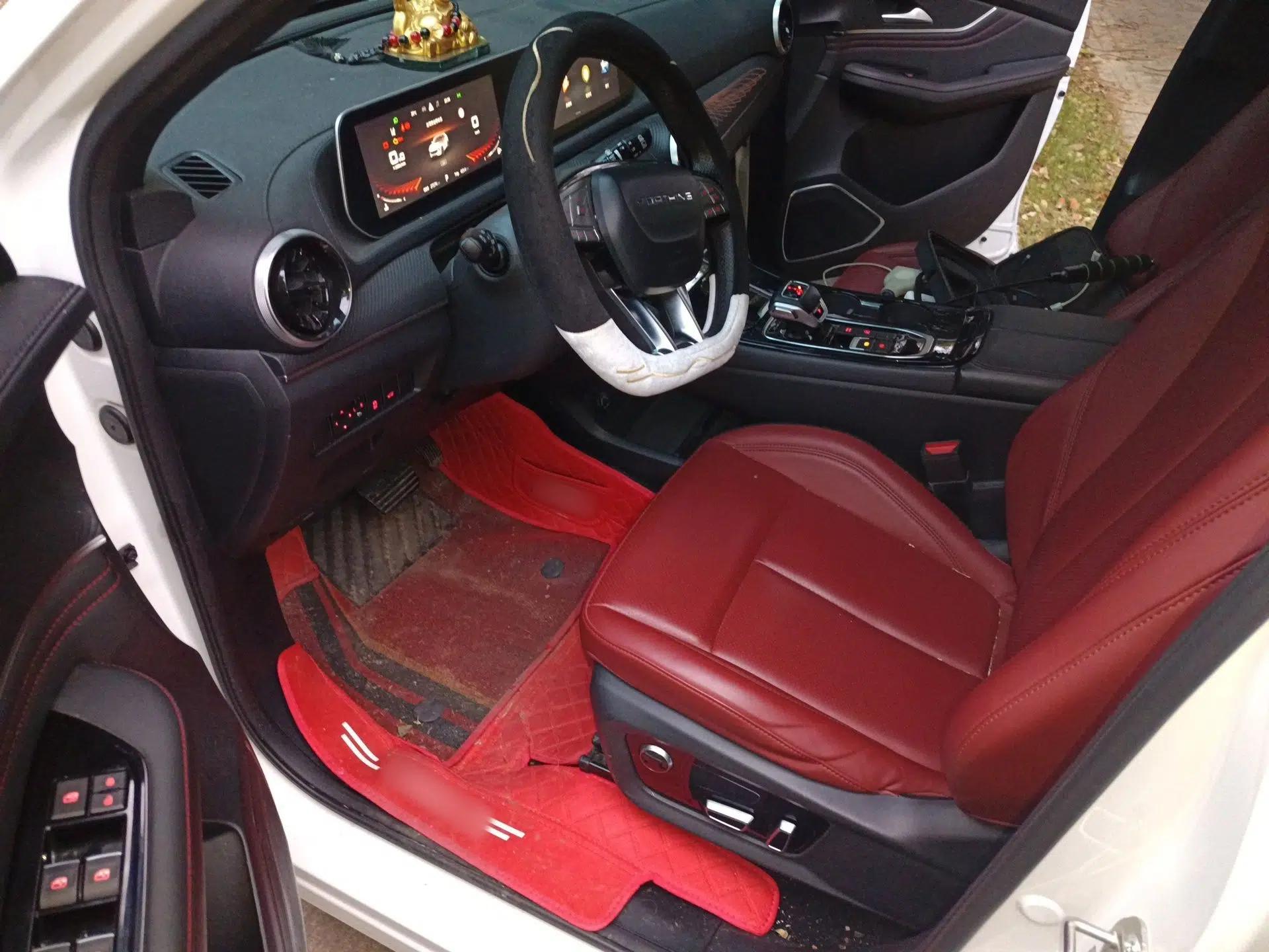 FORTHING T5 EVO 2021 1.5TD DCT Starry Edition — миниатюра 19