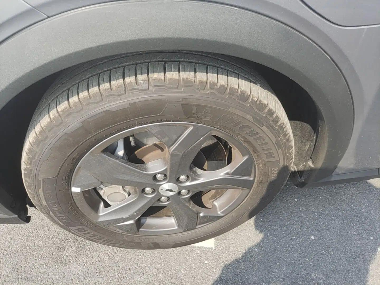 Ford Mustang Mach-E 2021 Leap Edition Rear-Drive Version (Standard Range) — миниатюра 8