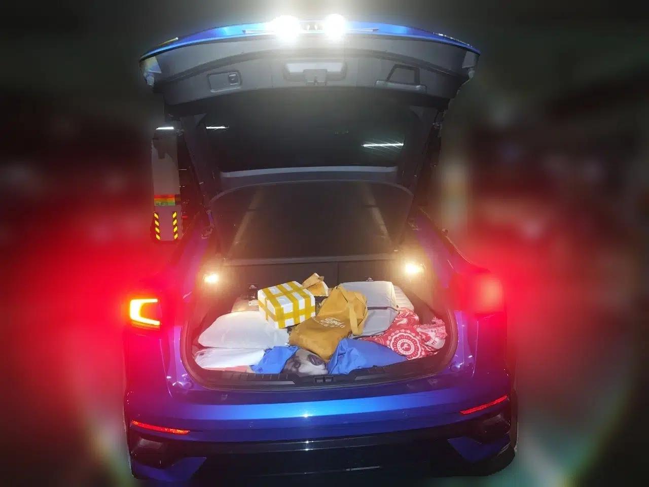 Ford EVOS 2022 EcoBoost 245 ST-Line — миниатюра 20