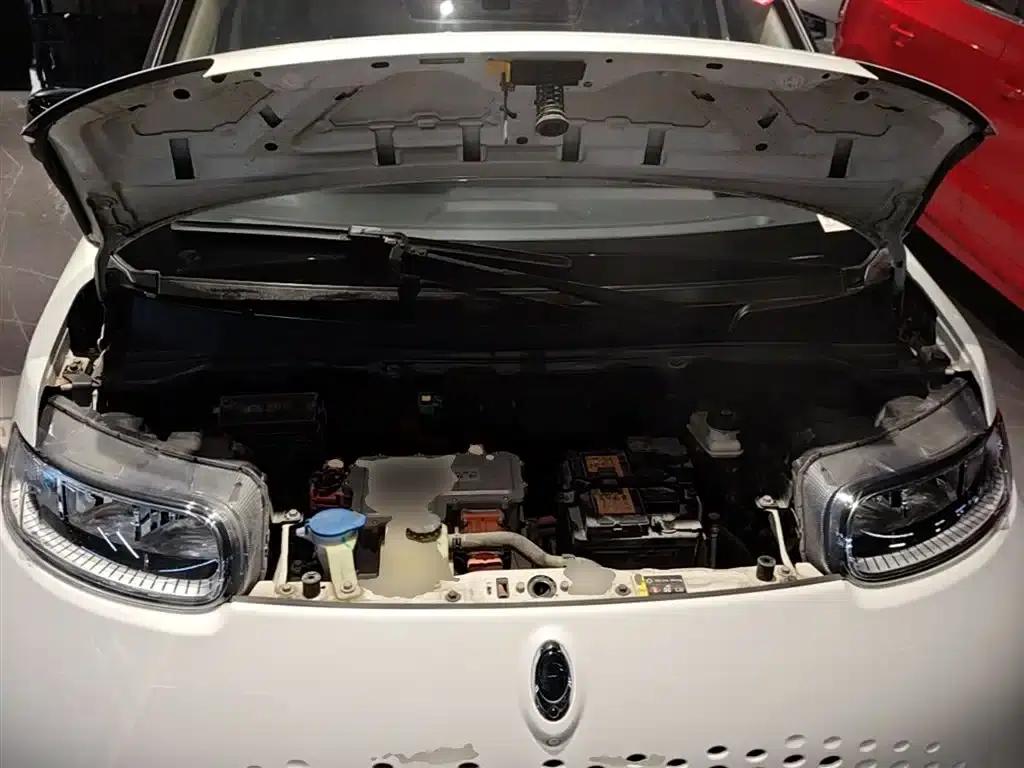 ORA White Cat 2020 Model 305km Luxury — миниатюра 20