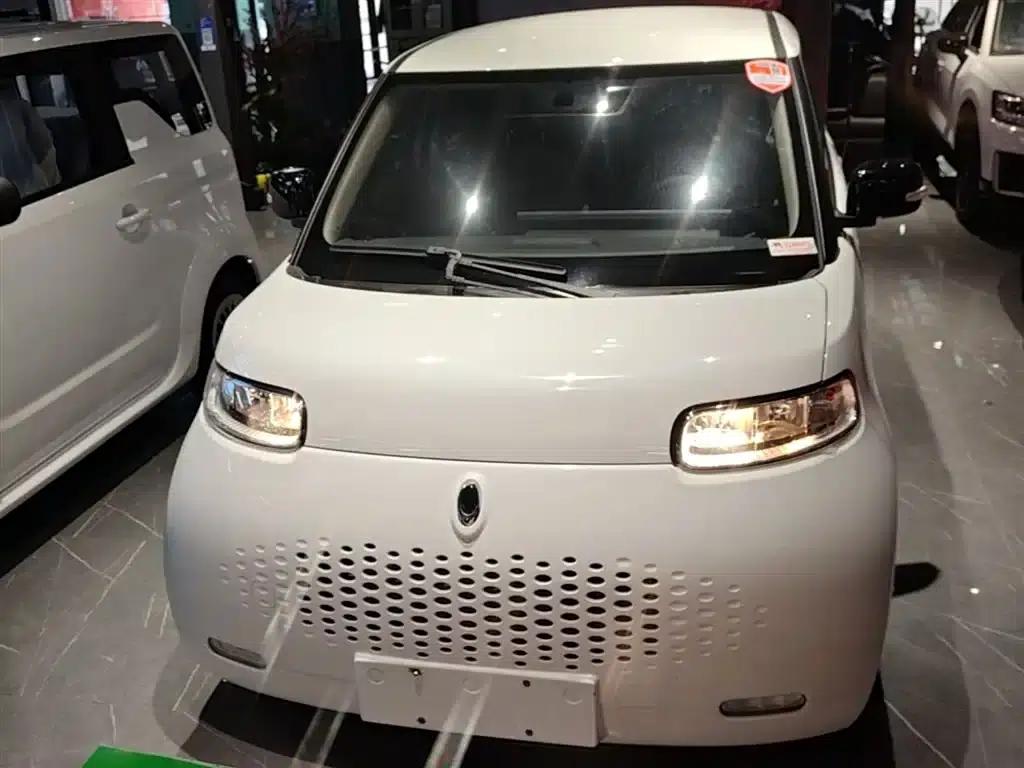 ORA White Cat 2020 Model 305km Luxury — миниатюра 3