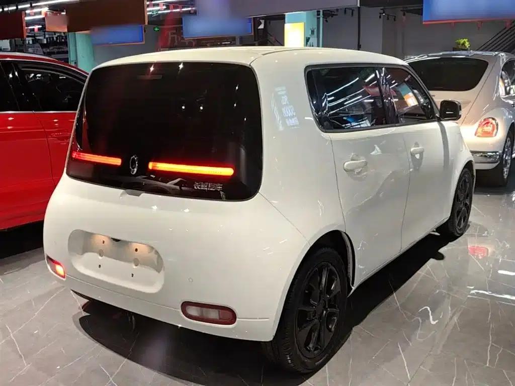 ORA White Cat 2020 Model 305km Luxury — миниатюра 7
